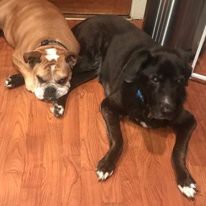 Meet your Posher, Alessandra